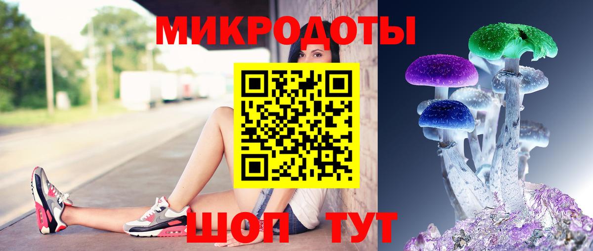 Псилоцибиновые грибы Psilocybine cubensis  Вход с VPN  Ногинск  где купить наркотик  Псилоцибиновые грибы ЛСД 